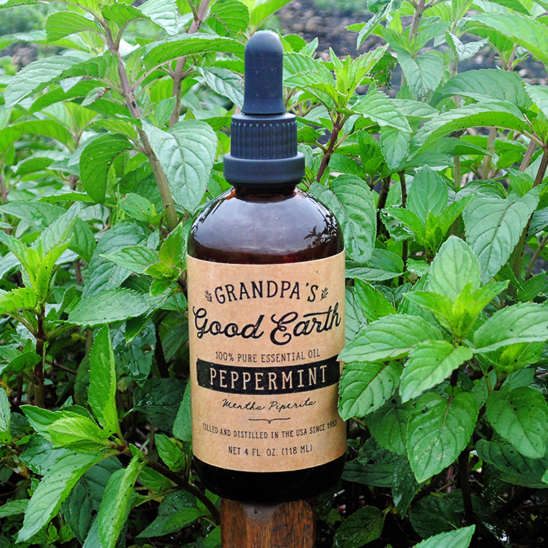 peppermint oil extract peppermint oil extract