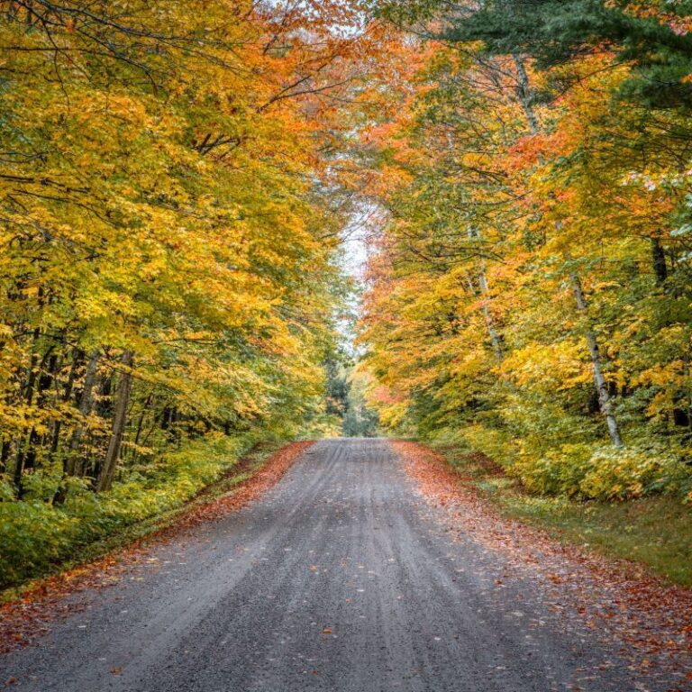 The 12 Best Backroads in Wisconsin for taking long scenic Drives Road